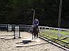 2004-10-13_Autumn-horseback 372.JPG